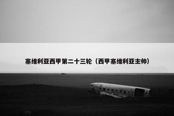 塞维利亚西甲第二十三轮（西甲塞维利亚主帅）