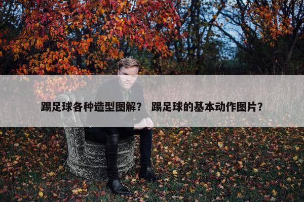 踢足球各种造型图解？ 踢足球的基本动作图片？