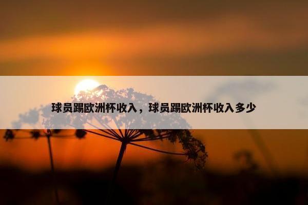 球员踢欧洲杯收入，球员踢欧洲杯收入多少