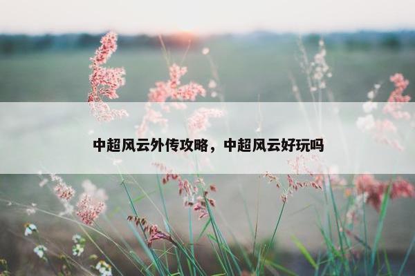 中超风云外传攻略，中超风云好玩吗