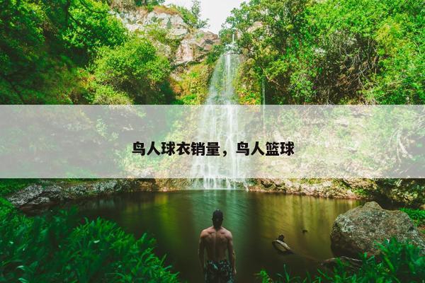 鸟人球衣销量，鸟人篮球