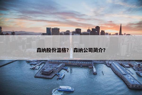 森纳股份温格？ 森纳公司简介？