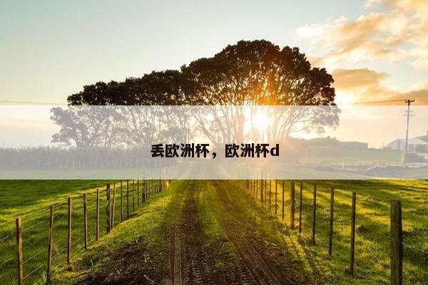 丢欧洲杯，欧洲杯d