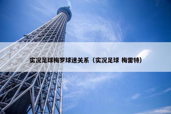 实况足球梅罗球迷关系（实况足球 梅雷特）