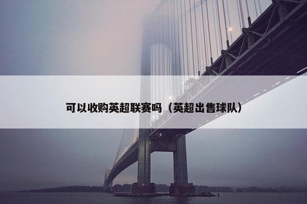 可以收购英超联赛吗（英超出售球队）