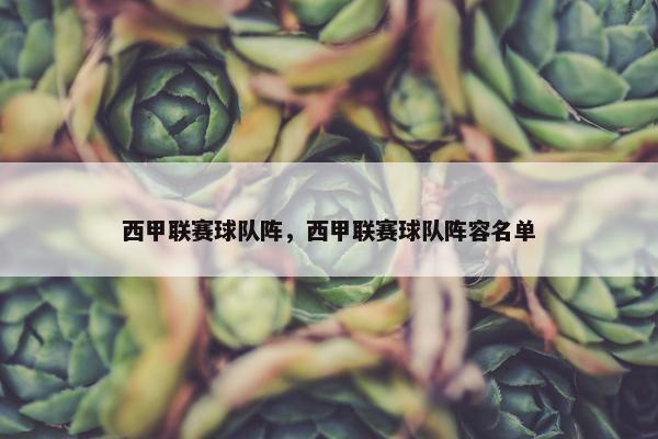 西甲联赛球队阵，西甲联赛球队阵容名单