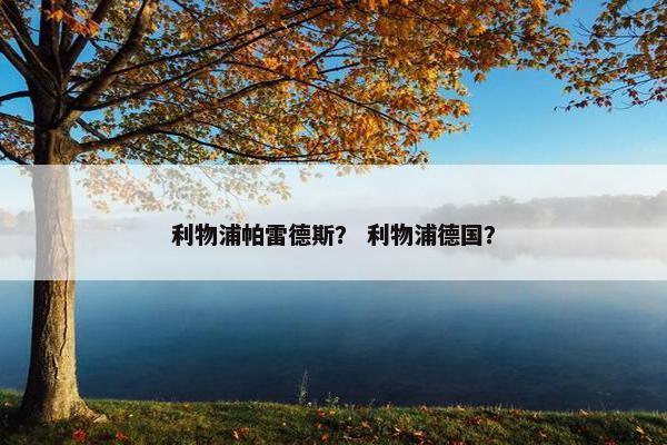 利物浦帕雷德斯？ 利物浦德国？