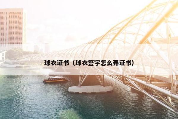 球衣证书（球衣签字怎么弄证书）