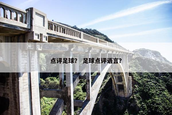 点评足球？ 足球点评语言？
