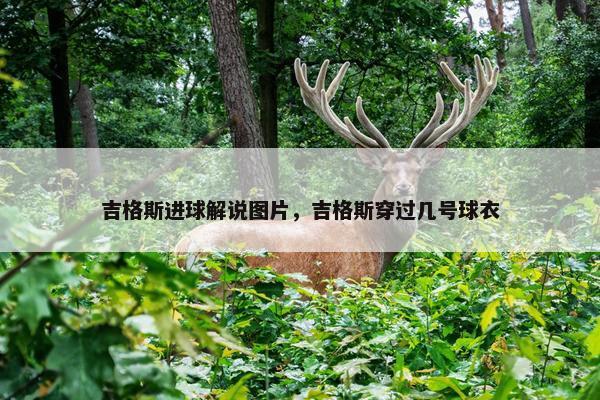吉格斯进球解说图片，吉格斯穿过几号球衣