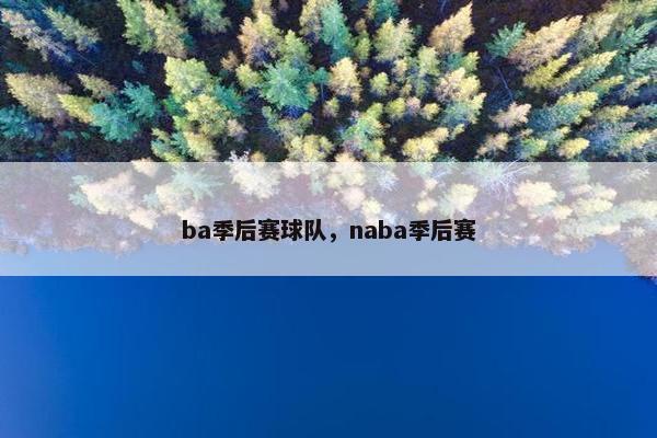 ba季后赛球队，naba季后赛