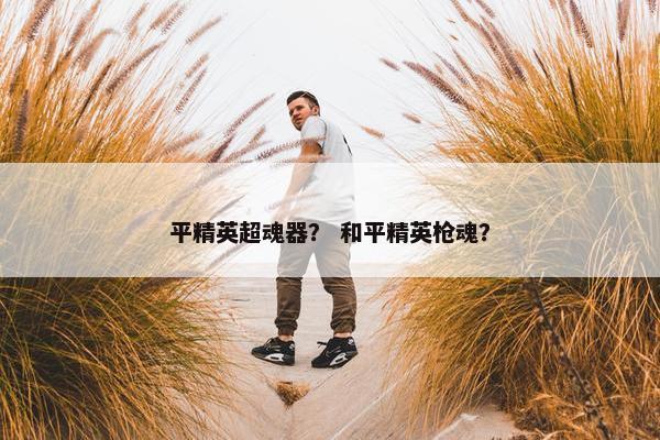 平精英超魂器？ 和平精英枪魂？