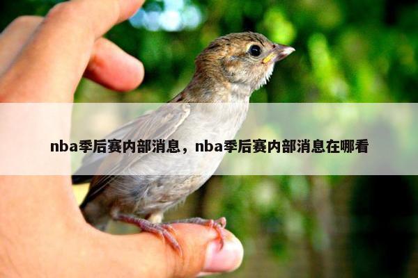nba季后赛内部消息，nba季后赛内部消息在哪看