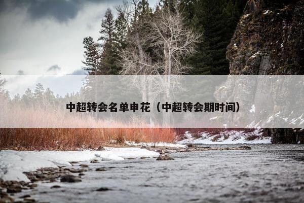 中超转会名单申花（中超转会期时间）