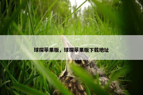 球探苹果版，球探苹果版下载地址