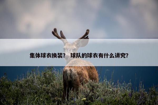 集体球衣换装？ 球队的球衣有什么讲究？