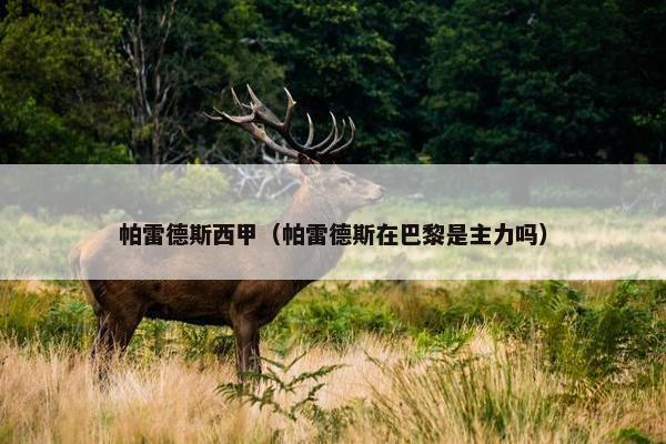 帕雷德斯西甲（帕雷德斯在巴黎是主力吗）