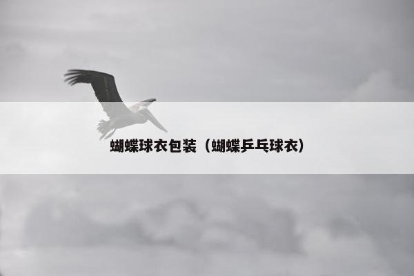 蝴蝶球衣包装（蝴蝶乒乓球衣）