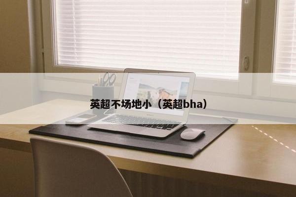 英超不场地小（英超bha）