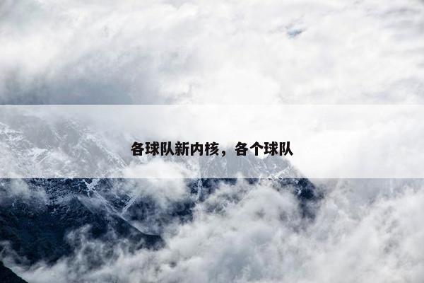 各球队新内核，各个球队