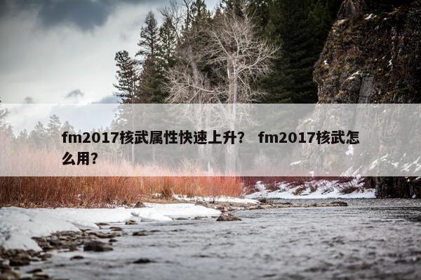 fm2017核武属性快速上升？ fm2017核武怎么用？