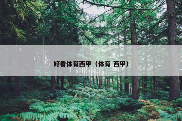 好看体育西甲（体育 西甲）