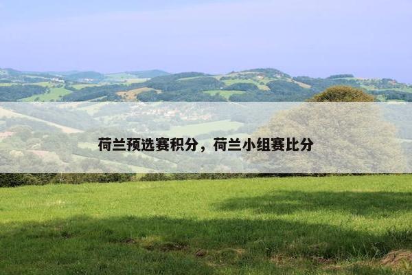 荷兰预选赛积分，荷兰小组赛比分