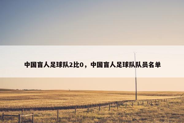 中国盲人足球队2比0，中国盲人足球队队员名单