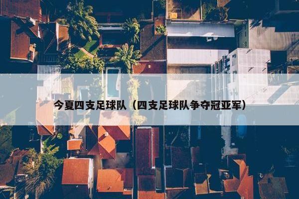 今夏四支足球队（四支足球队争夺冠亚军）