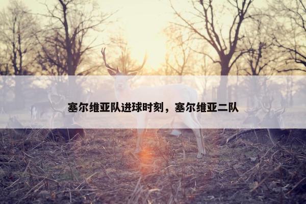 塞尔维亚队进球时刻，塞尔维亚二队