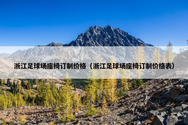 浙江足球场座椅订制价格（浙江足球场座椅订制价格表）