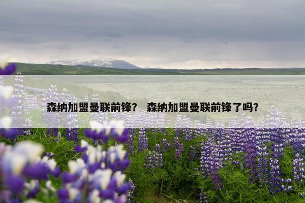 森纳加盟曼联前锋？ 森纳加盟曼联前锋了吗？