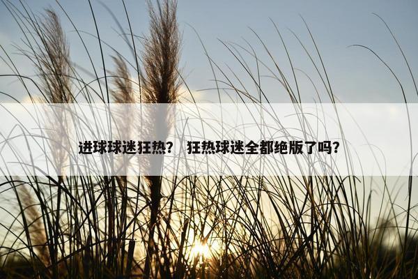 进球球迷狂热？ 狂热球迷全都绝版了吗？