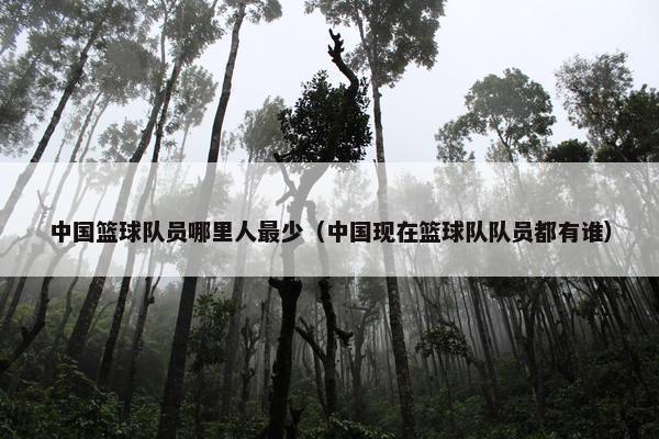 中国篮球队员哪里人最少（中国现在篮球队队员都有谁）