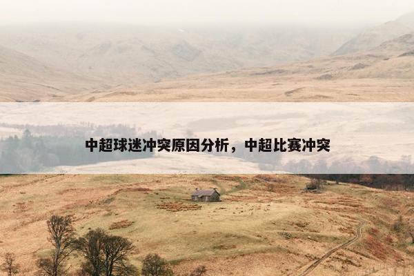 中超球迷冲突原因分析，中超比赛冲突