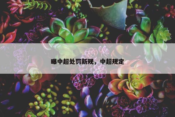 曝中超处罚新规，中超规定