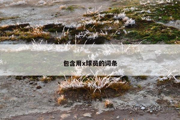 包含用x球员的词条