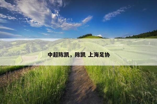 中超陈凯，陈凯 上海足协