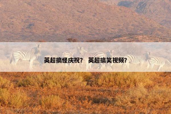 英超搞怪庆祝？ 英超搞笑视频？