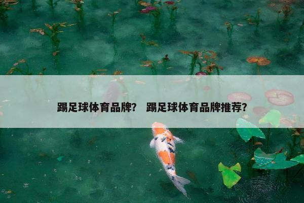 踢足球体育品牌？ 踢足球体育品牌推荐？