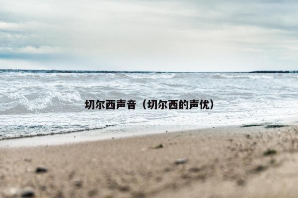 切尔西声音（切尔西的声优）