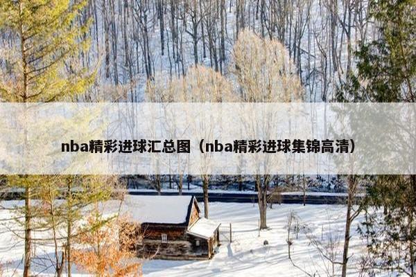 nba精彩进球汇总图（nba精彩进球集锦高清）