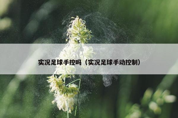 实况足球手控吗（实况足球手动控制）