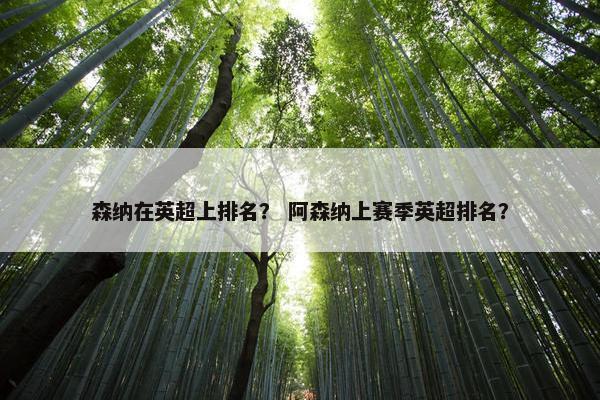 森纳在英超上排名？ 阿森纳上赛季英超排名？