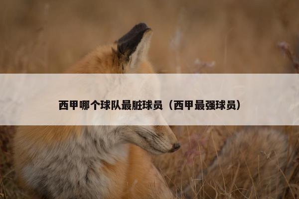 西甲哪个球队最脏球员（西甲最强球员）