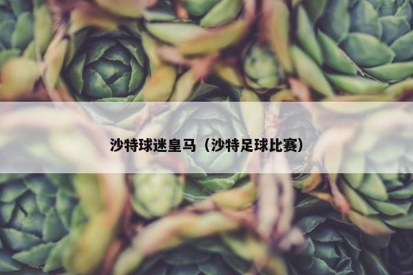 沙特球迷皇马（沙特足球比赛）