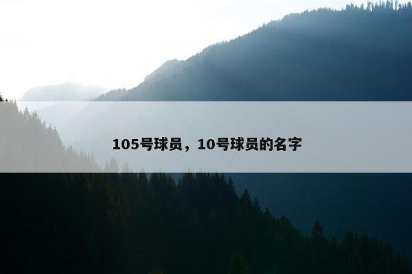 105号球员，10号球员的名字