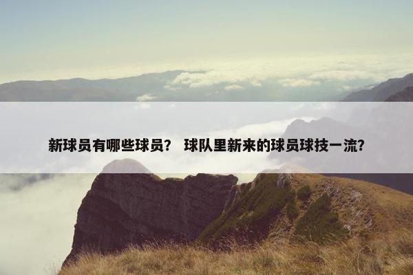 新球员有哪些球员？ 球队里新来的球员球技一流？