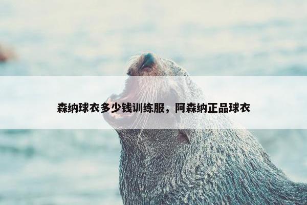 森纳球衣多少钱训练服，阿森纳正品球衣