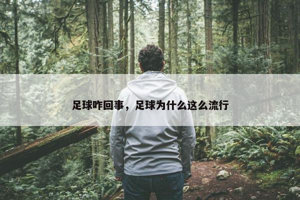 足球咋回事，足球为什么这么流行